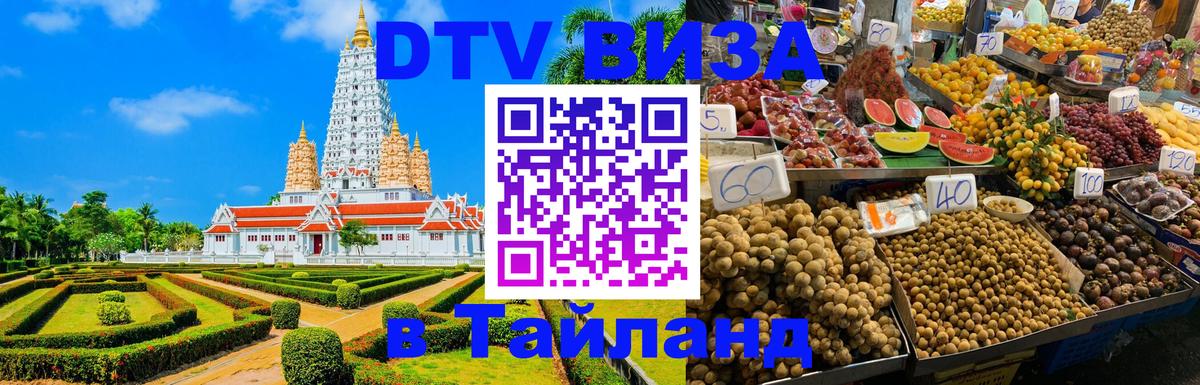 Оформление DTV визы под ключ: стоимость и тарифы, только загранпаспорт - 04.10.2025 